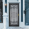 Custom security door