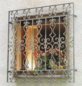 Custom metal window guards